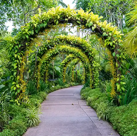 Birla Estates Sector 71 Gurgaon